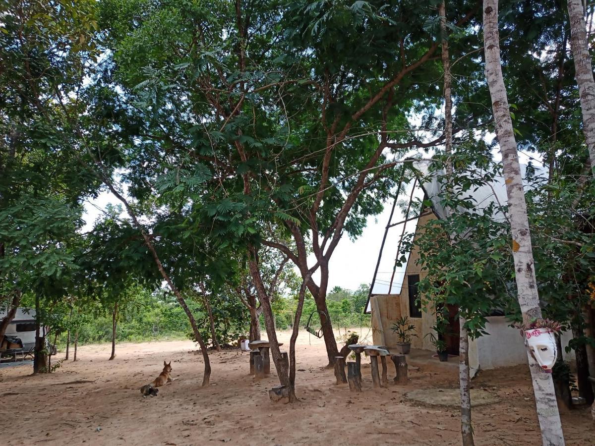 Refugio Raiz Camping Carolina  Exterior foto